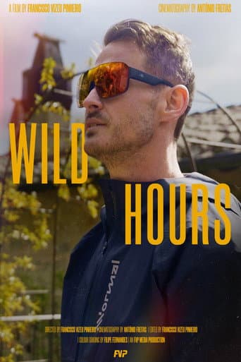 Wild Hours afişi