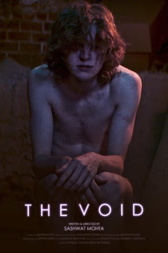 The Void afişi