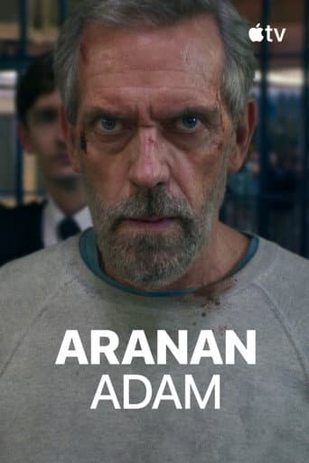 Aranan Adam afişi