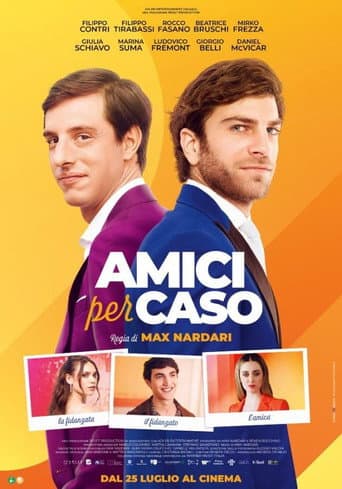 Amici per caso afişi