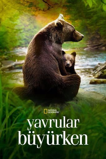 Yavrular Büyürken afişi