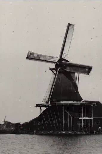 Molens van de Zaanstreek afişi