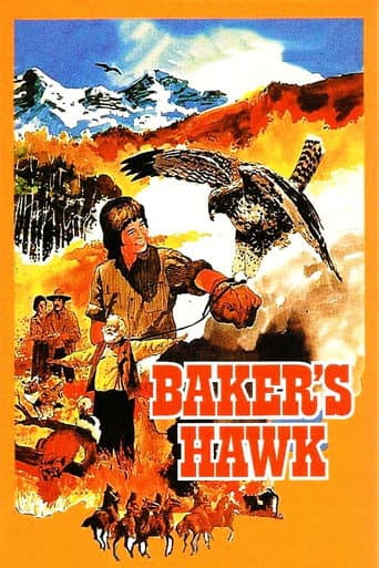 Baker's Hawk afişi
