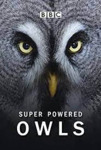 Super Powered Owls afişi