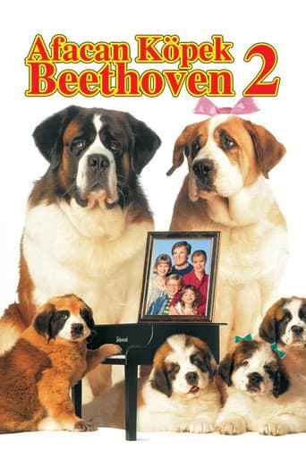 Afacan Köpek Beethoven 2 afişi
