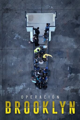 Operación Brooklyn afişi