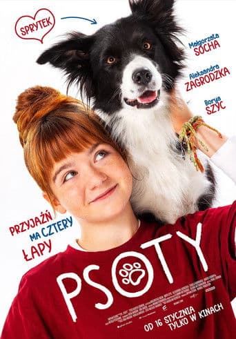 Psoty afişi