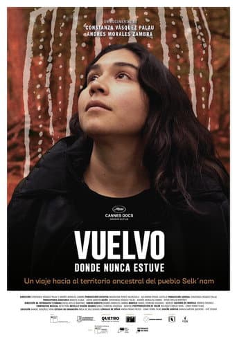 Vuelvo donde nunca estuve afişi