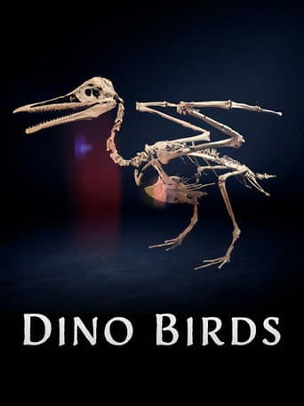 Dino Birds afişi