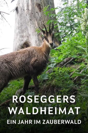 Roseggers Waldheimat - Ein Jahr im Zauberwald afişi