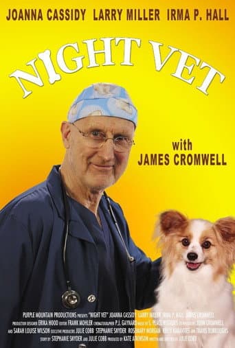 Night Vet afişi