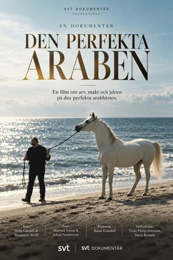 Den perfekta araben afişi