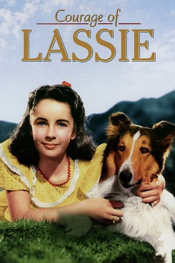 Korkusuz Lassie afişi
