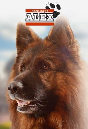 Komisarz Alex afişi