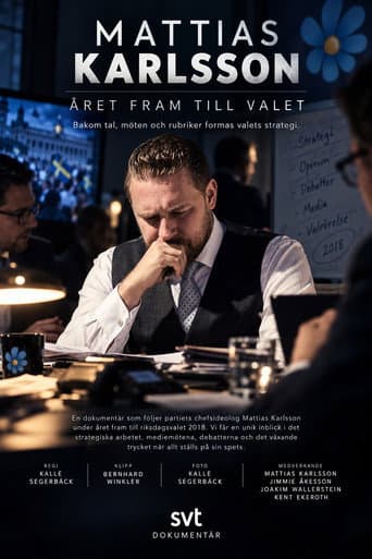 Mattias Karlsson: Året fram till valet afişi