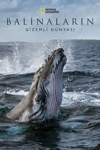 Balinaların Gizemli Dünyası afişi