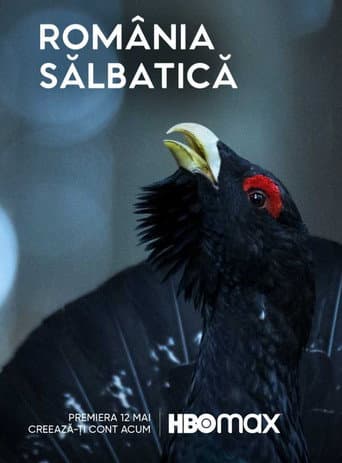 România Sălbatică