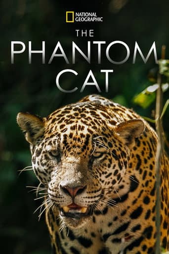 The Phantom Cat afişi