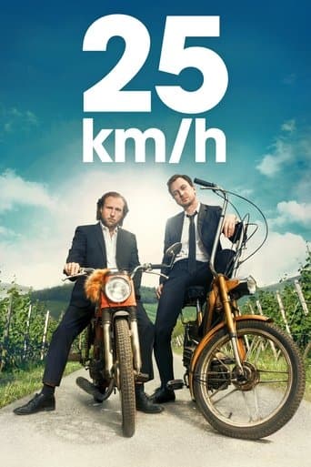 25 km/h afişi