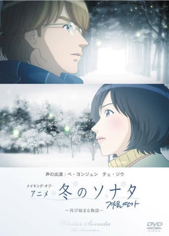Winter Sonata afişi