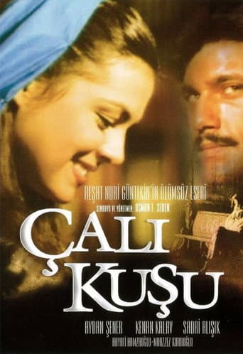 Çalıkuşu afişi