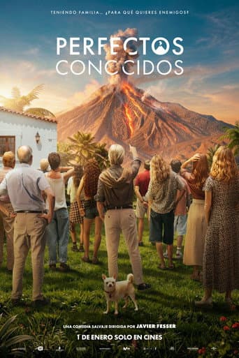 Perfectos conocidos afişi