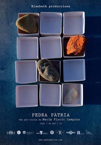 Pedra pàtria afişi