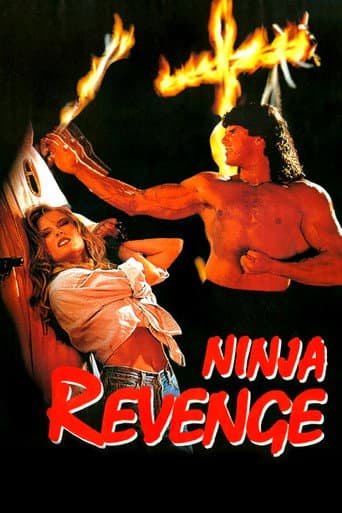 Ninja Vengeance afişi