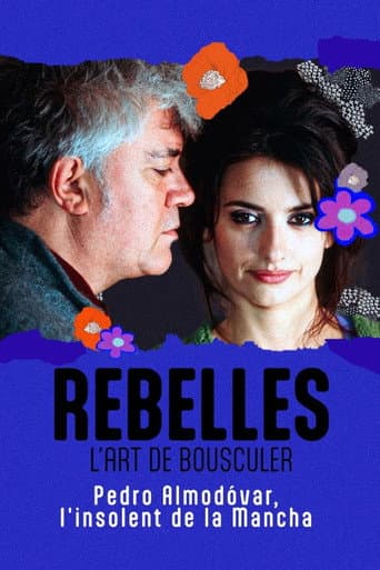 Almodóvar, l'insolent de la Mancha afişi