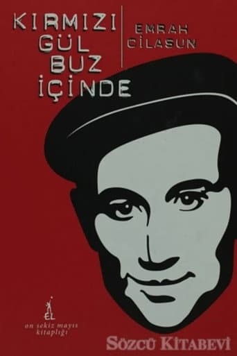Kırmızı Gül Buz İçinde afişi