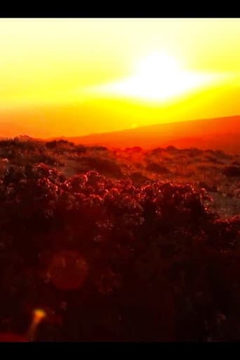 Todos tienen algo Desierto afişi