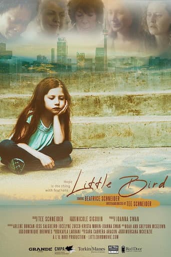 Little Bird afişi