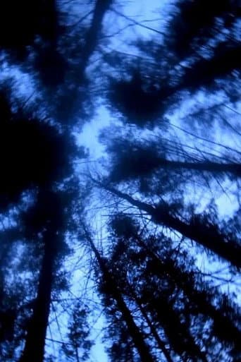 The Paranormal Experience That Inspired The Blair Witch Project afişi