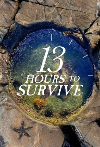 13 Hours To Survive afişi