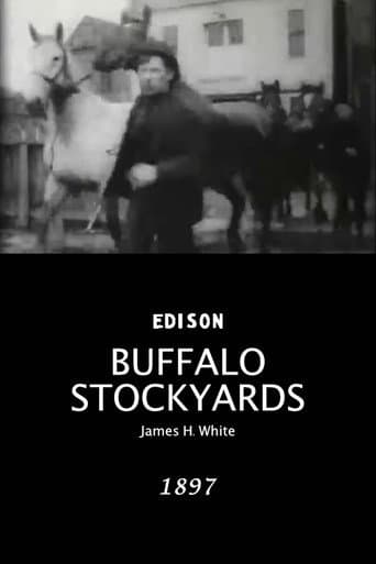 Buffalo Stockyards afişi
