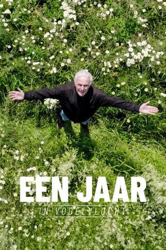 Een jaar in vogelvlucht afişi