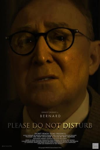 Please Do Not Disturb afişi