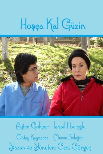 Hoşça Kal Güzin afişi