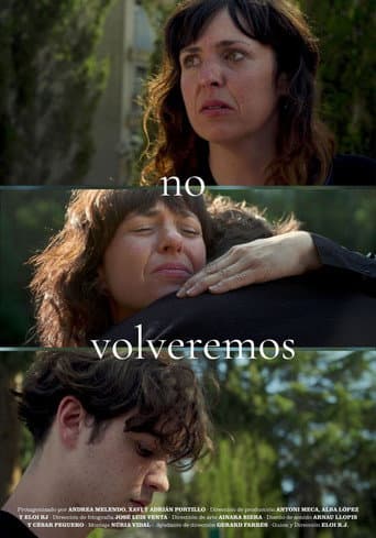 No volveremos afişi