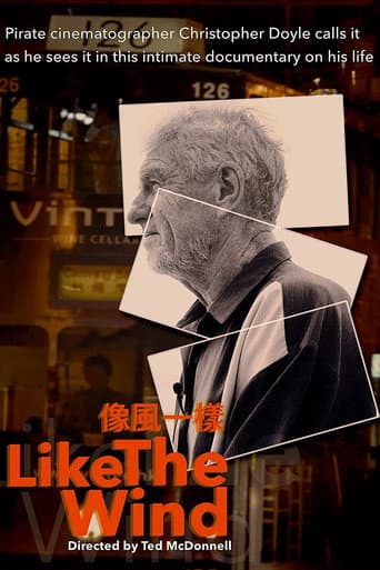 Like the Wind afişi