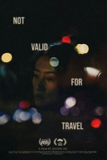 Not Valid for Travel afişi