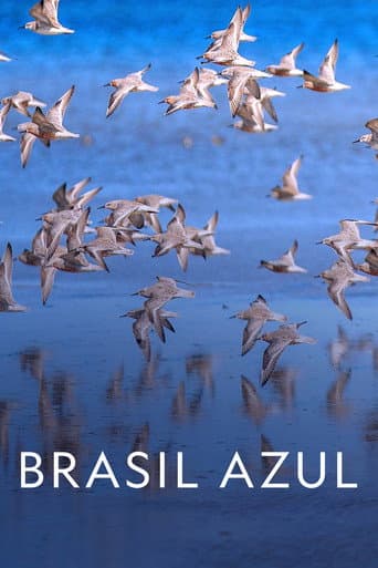 Brasil Azul afişi