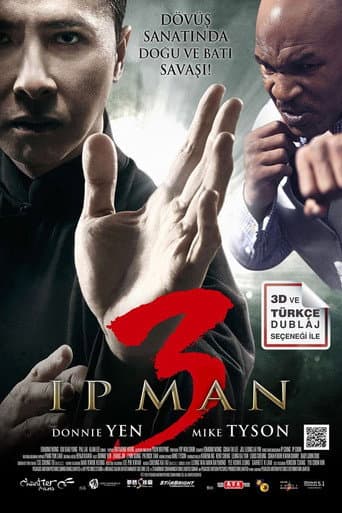 Ip Man 3 afişi