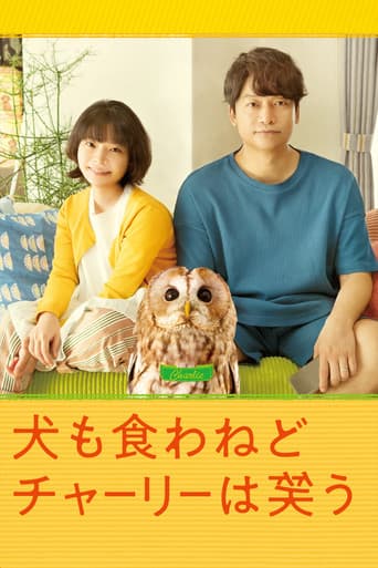 Everything Will Be Owlright! afişi