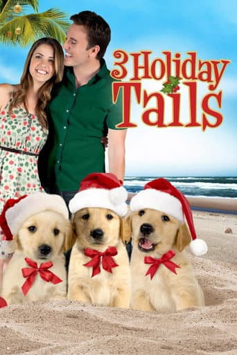 3 Holiday Tails afişi