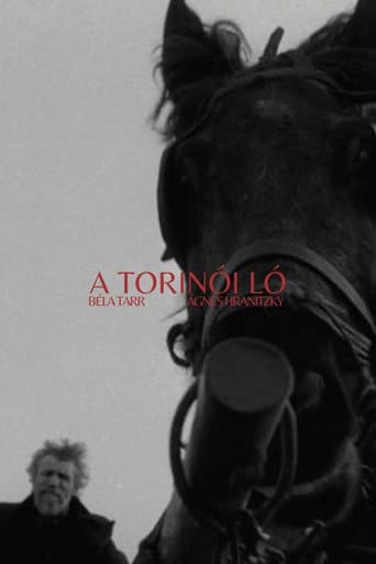 Torino Atı afişi