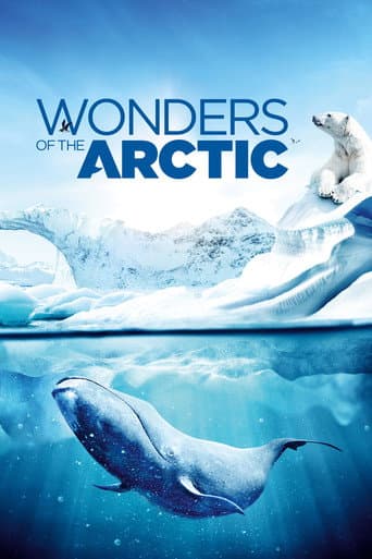 Wonders of the Arctic afişi