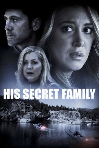 His Secret Family afişi