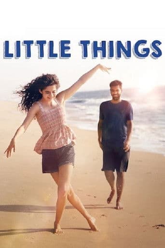 Little Things afişi