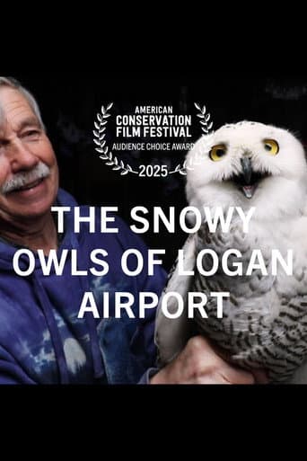 The Snowy Owls of Logan Airport afişi